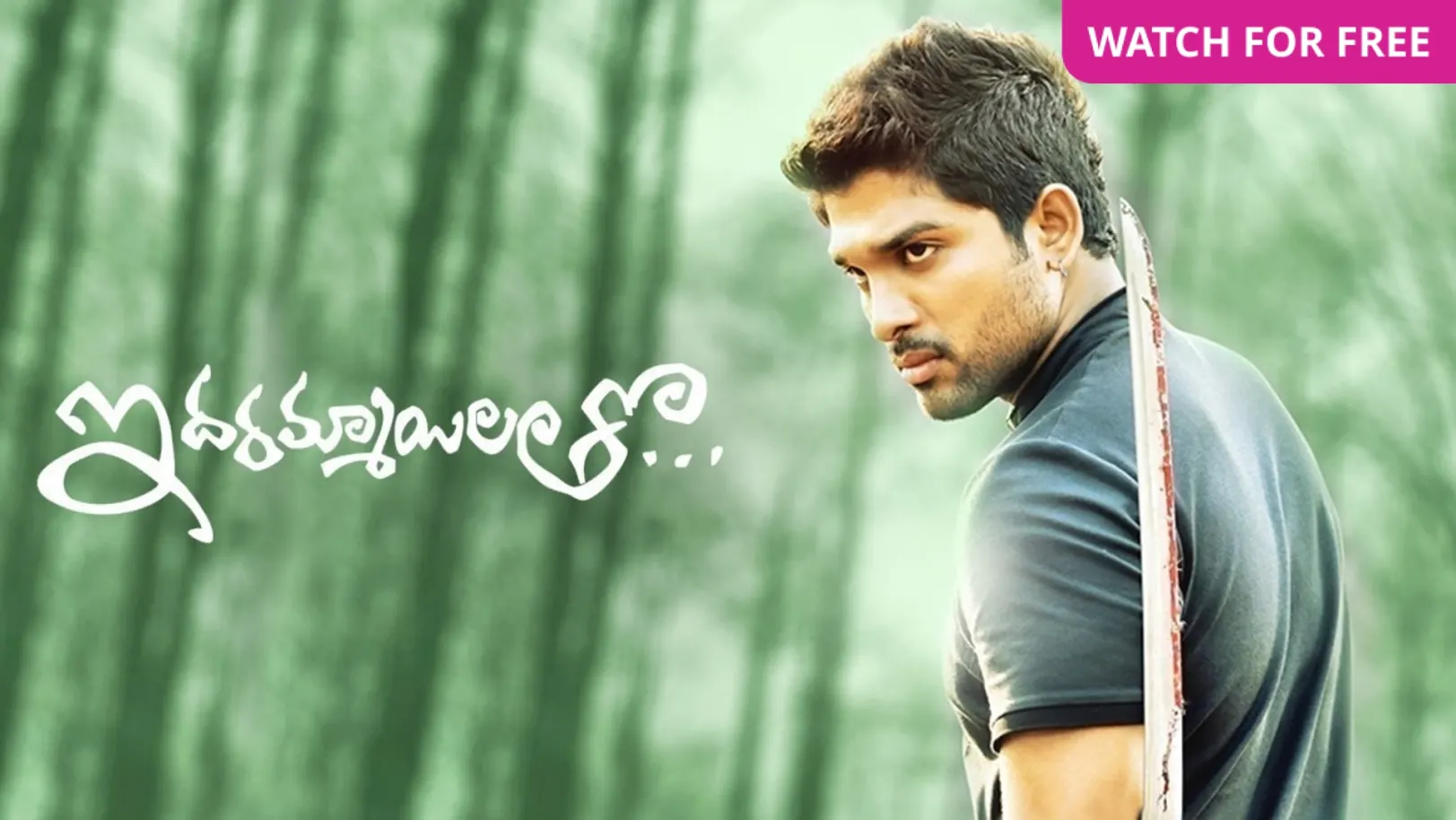 Iddarammayilatho Movie