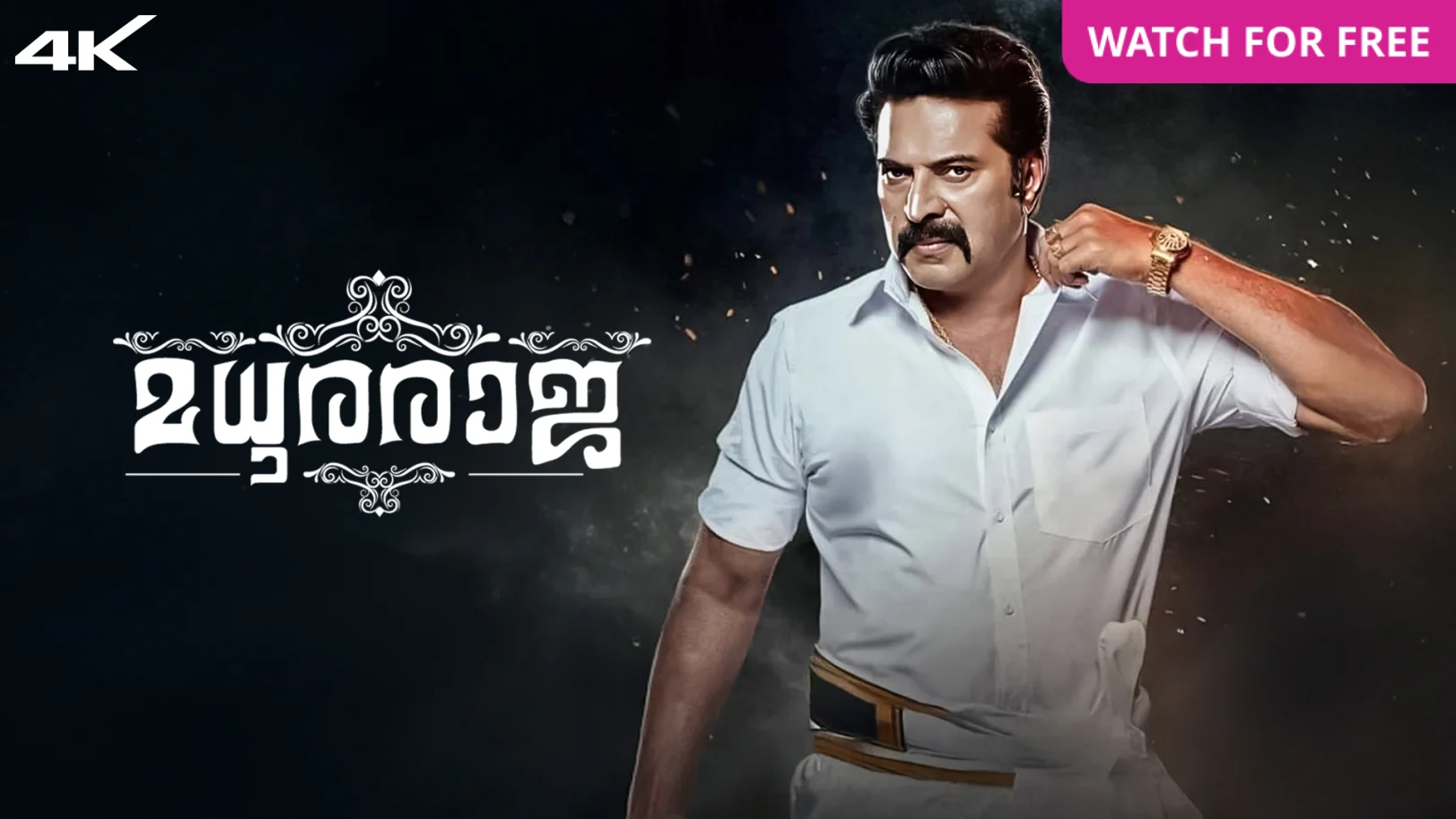 Madhura Raja Movie