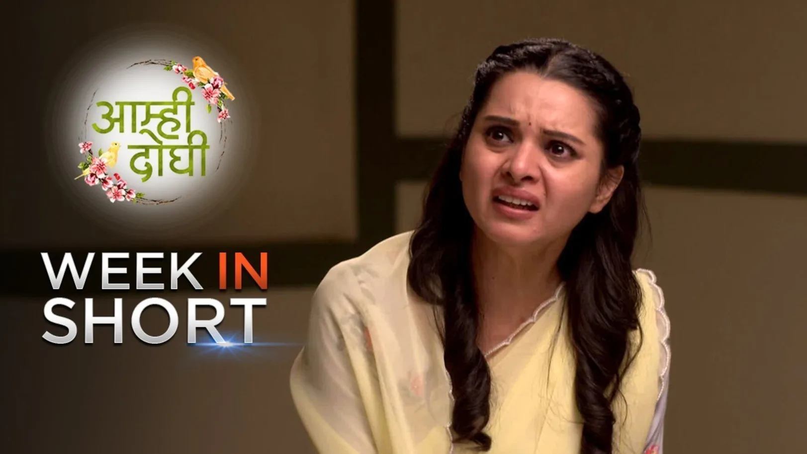 Meera Arrested - 8th April to 13th April 2019 – Aamhi Doghi 13th April 2019 Webisode