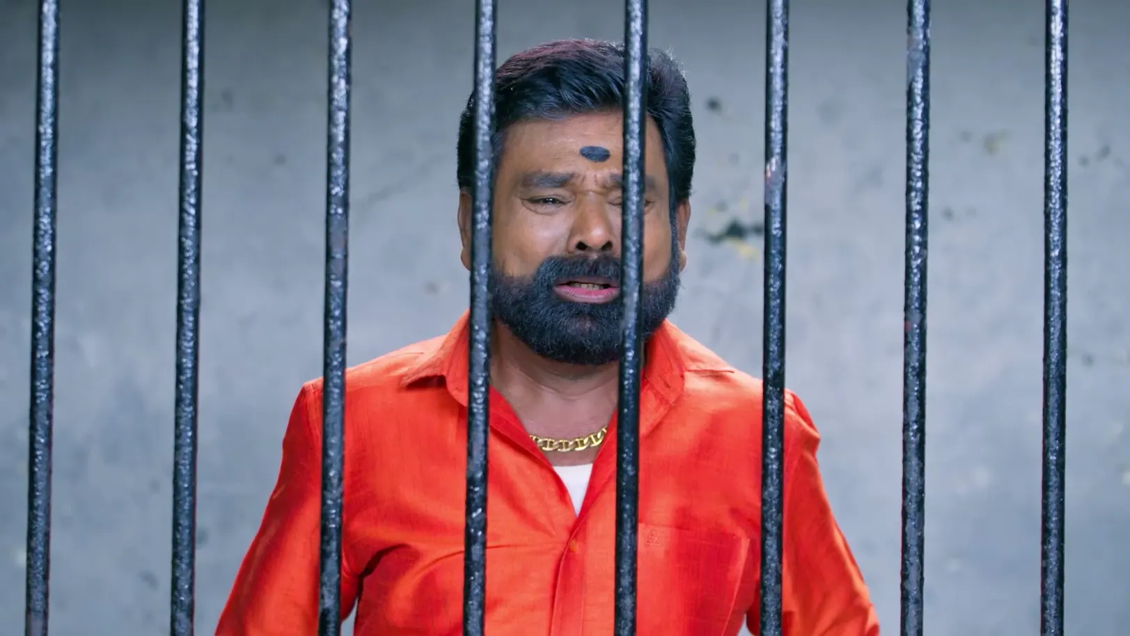 Karthigai Deepam - August 13, 2026 - Episode Spoiler