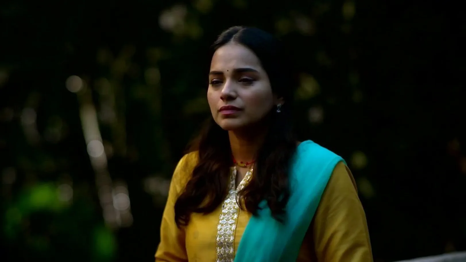 Shekhar Apologises to Netra 4th October 2022 Webisode