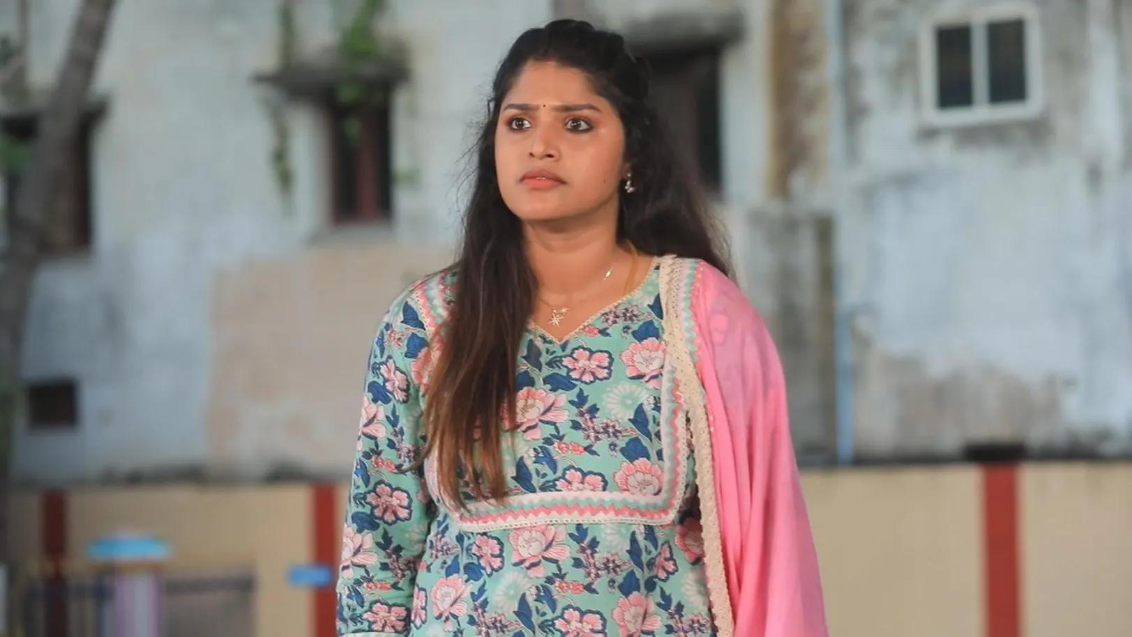 Rajini - November 11, 2022 - Episode Spoiler