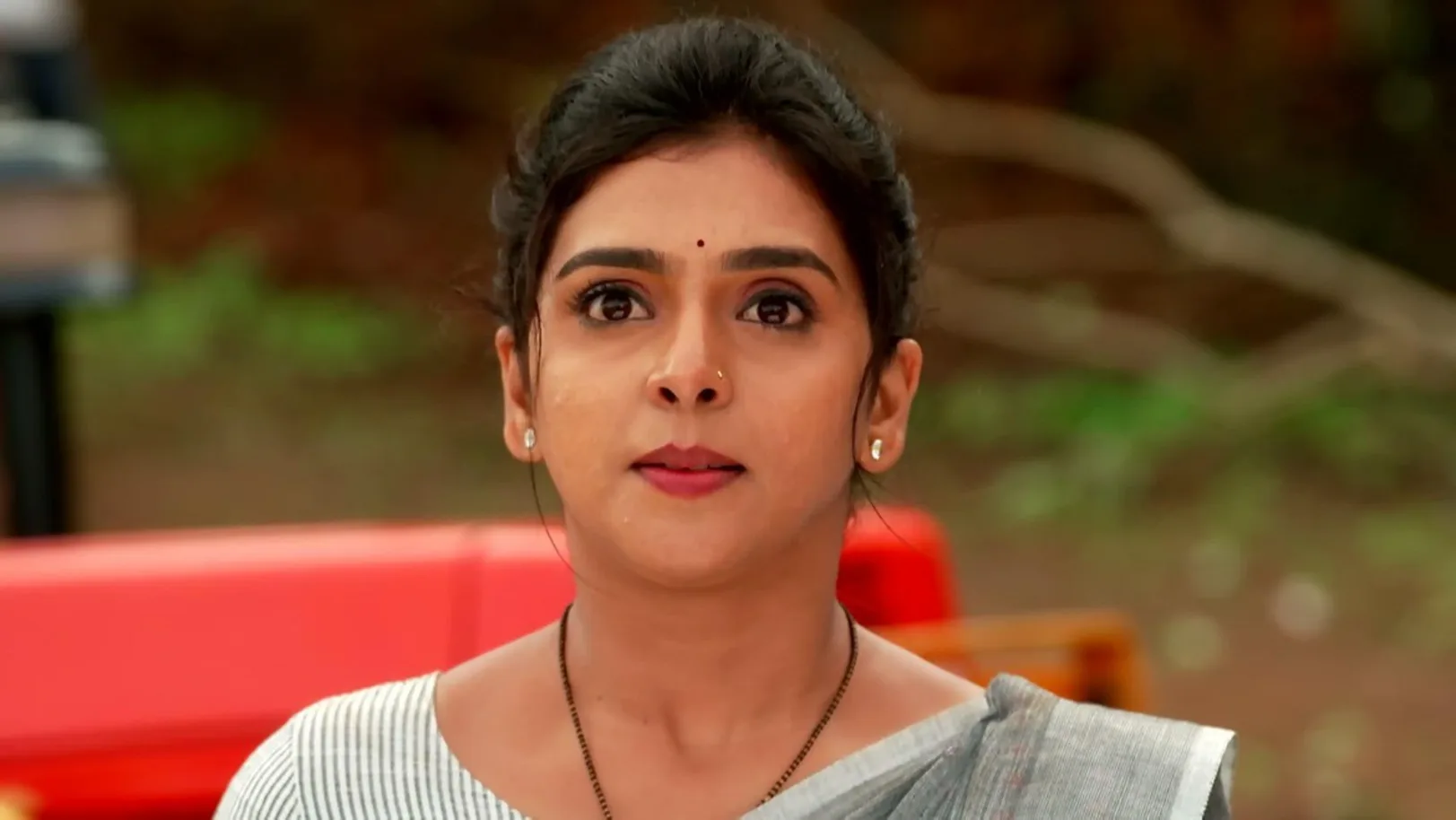 Appi Amchi Collector - 23 August, 2023