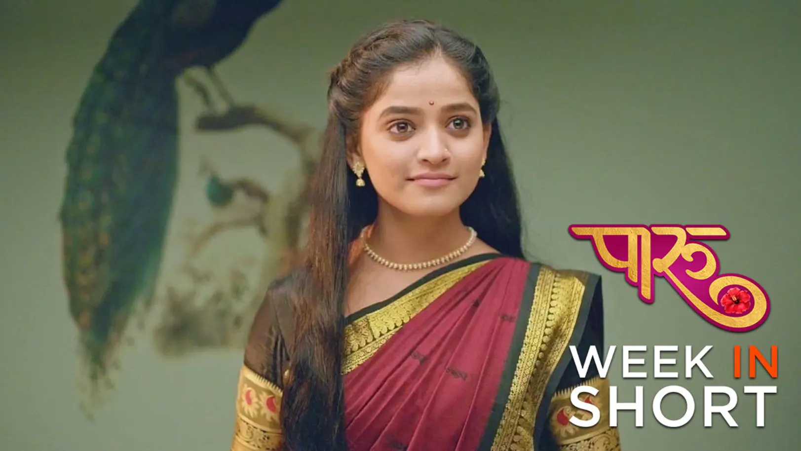 Paaru | February 12 - February 17, 2024 18th February 2024 Webisode