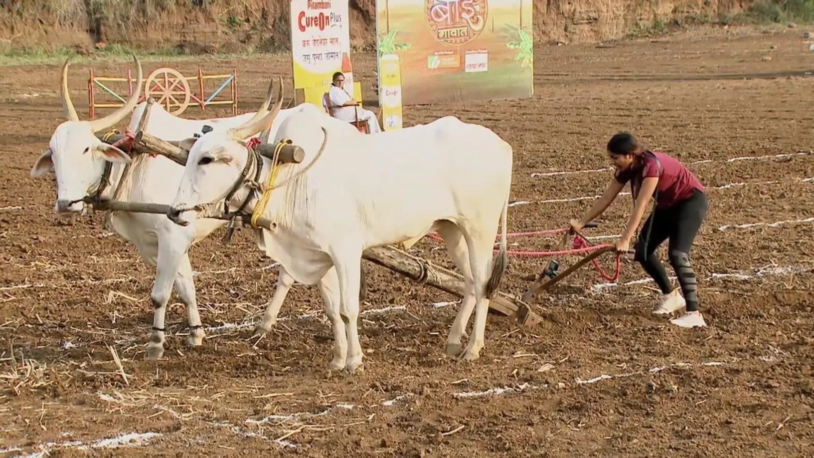 The Contestants Complete the Ploughing Task 