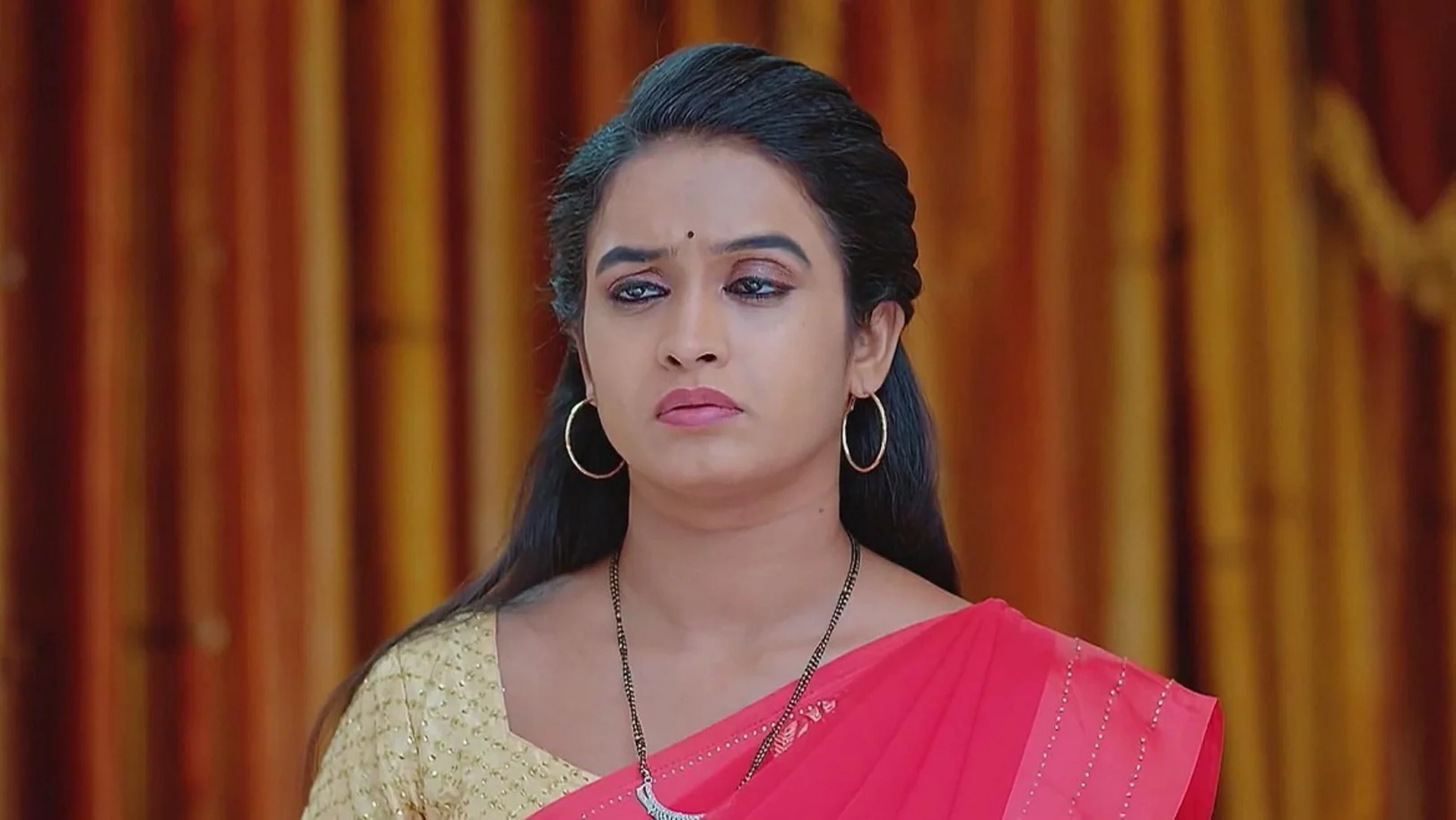 Harika Plans to Visit the Hospital for a Scan 4th May 2024 Webisode