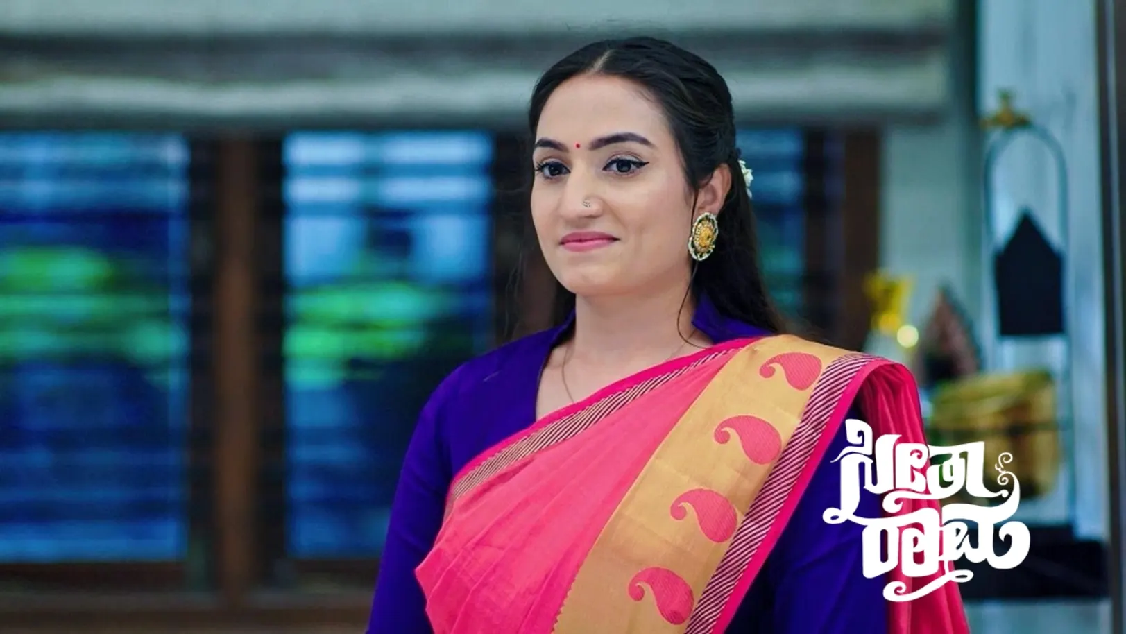 Vaani's Necklace Falls on Seetha Episode 216