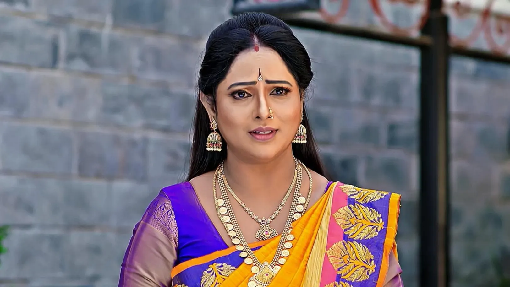 Vaidehi Parinaya - May 27, 2024 - Episode Spoiler