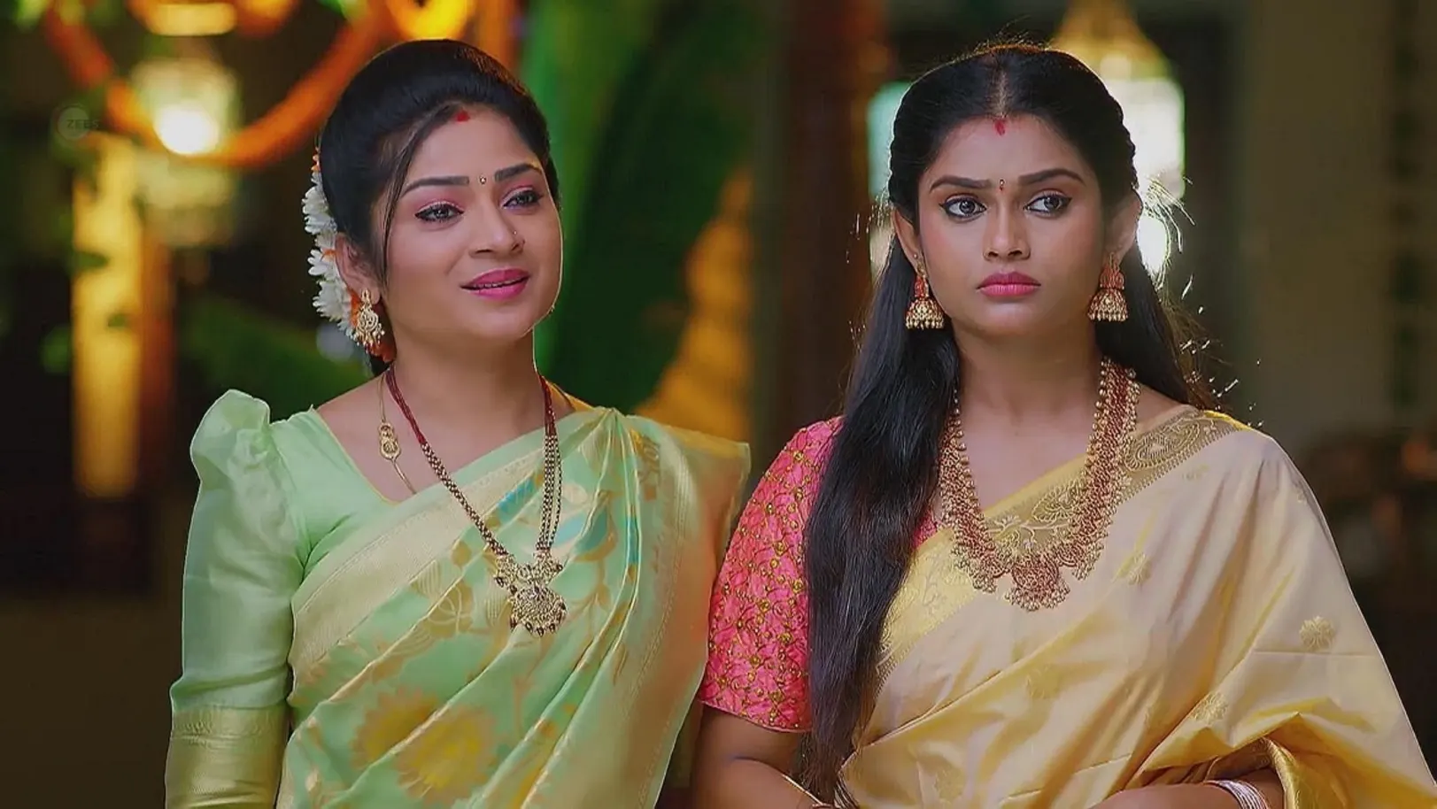 Raghuram to Perform a 'Homam' for Aadhya 8th June 2024 Webisode