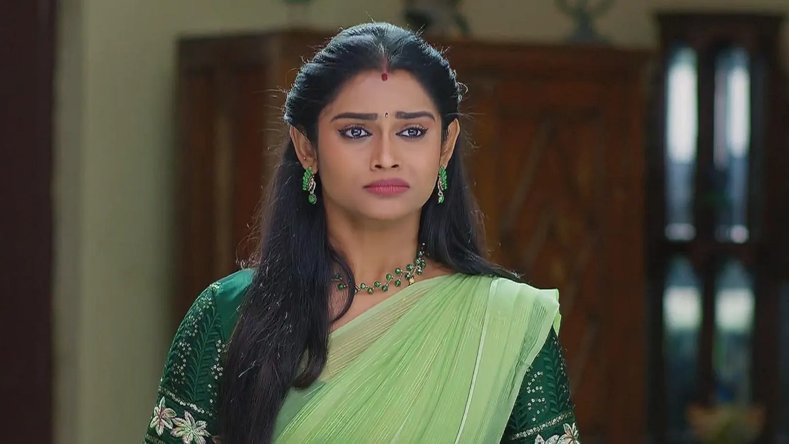 Charu Cautions Padma and Parvathy 19th June 2024 Webisode
