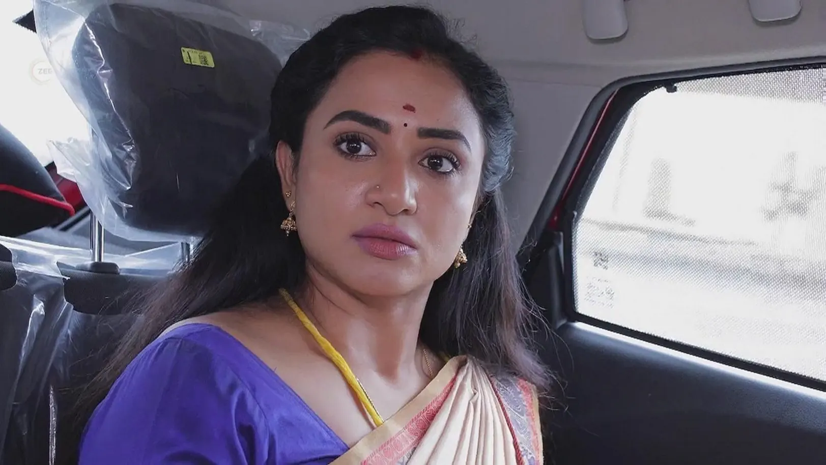 Shardha Misunderstands Bharathi 18th June 2024 Webisode