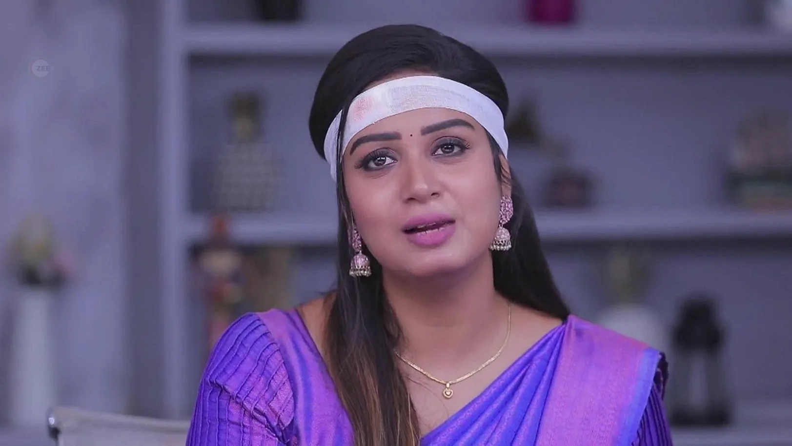 Mahalakshmi Shares a Plan with Vicky  20th June 2024 Webisode
