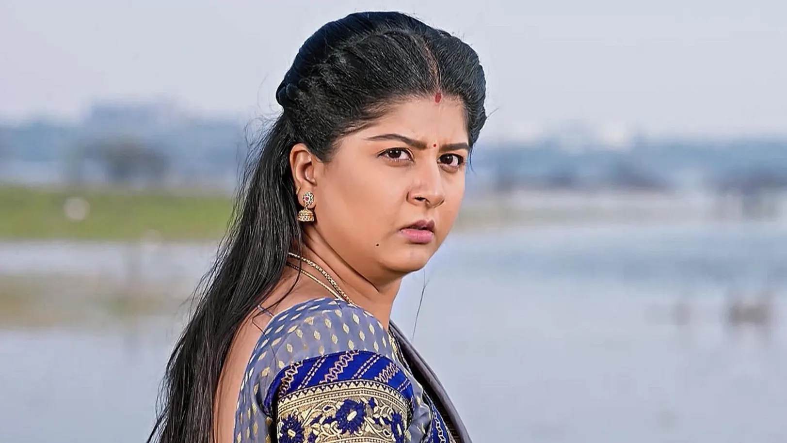 Vaidehi Parinaya - July 02, 2024 - Episode Spoiler