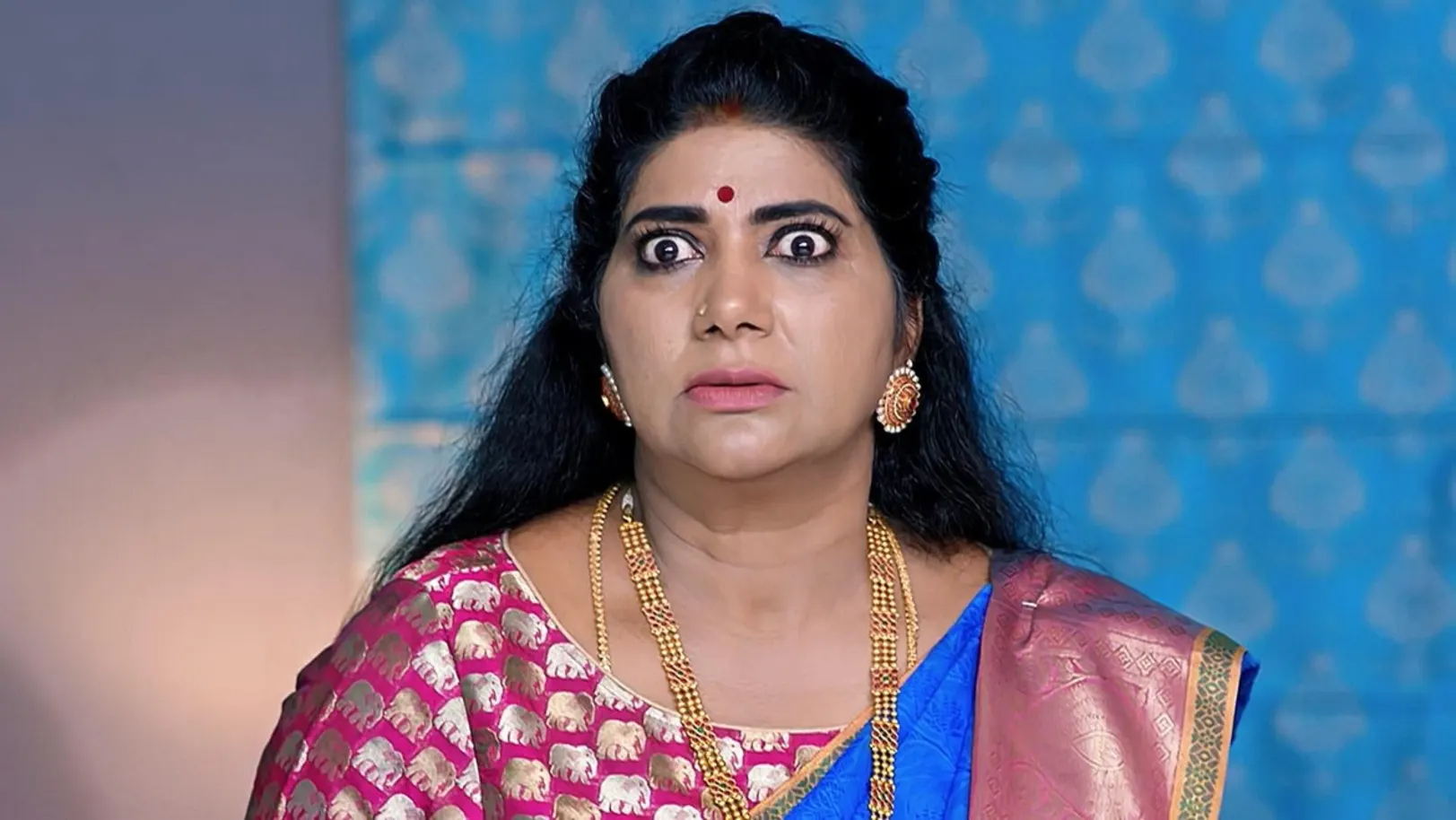 Vaidehi Parinaya - July 26, 2024 - Episode Spoiler