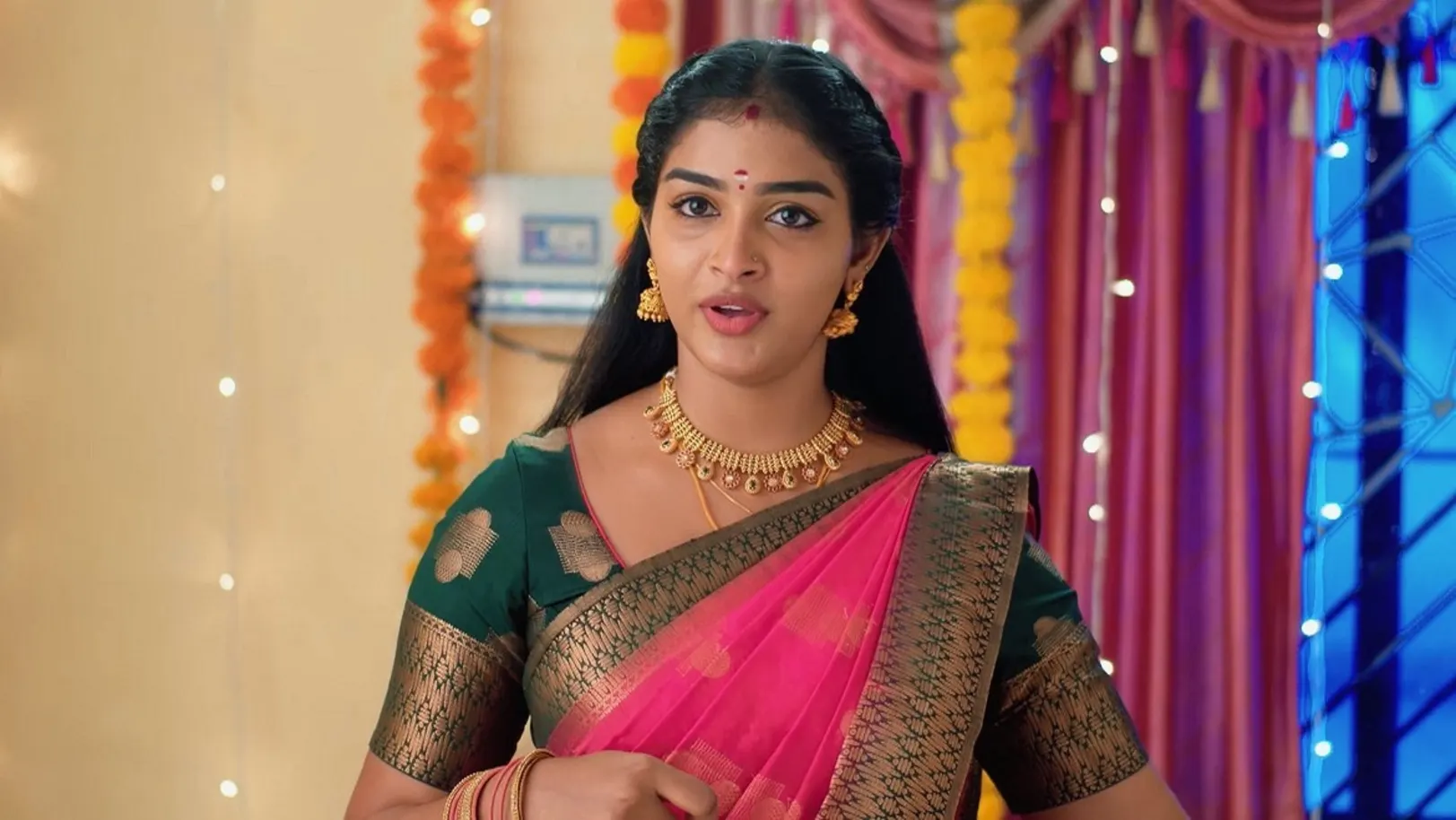 Karthigai Deepam - August 17, 2024 - Episode Spoiler