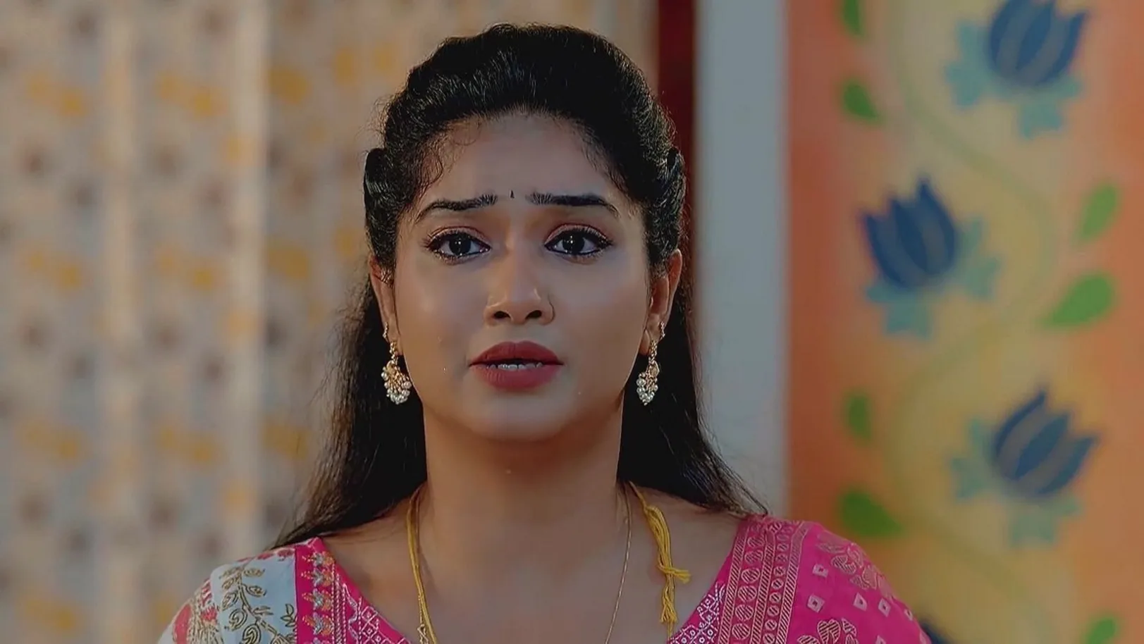 Nandhini Stops Savithri’s Arrest 25th August 2024 Webisode