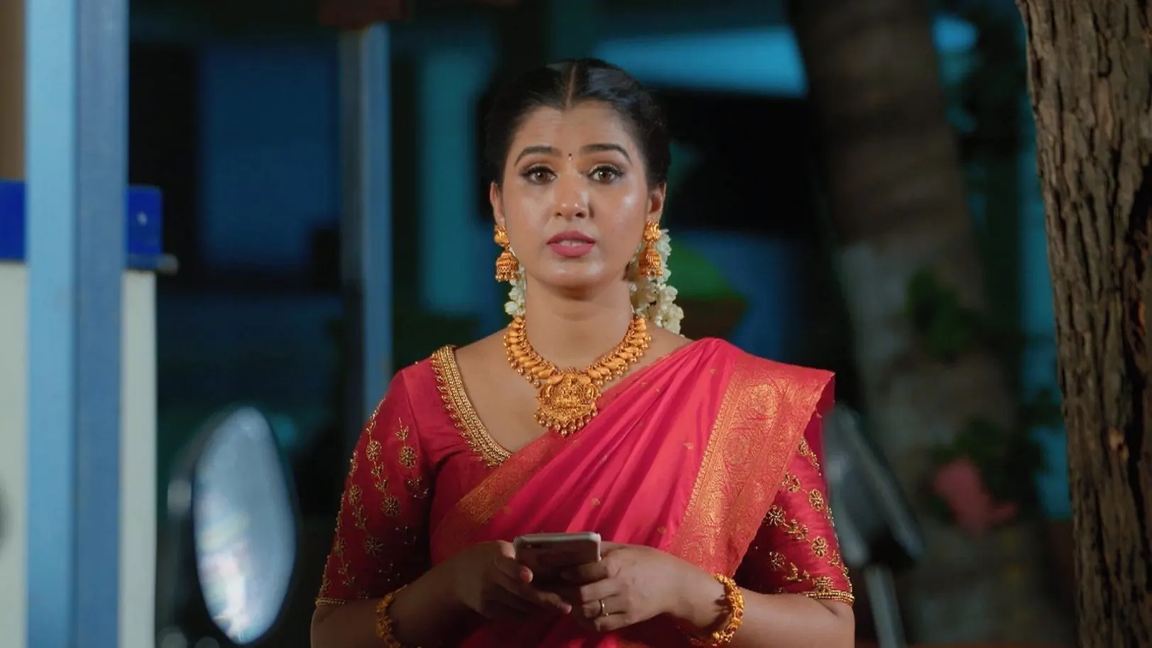 Karthigai Deepam - August 20, 2024 - Episode Spoiler