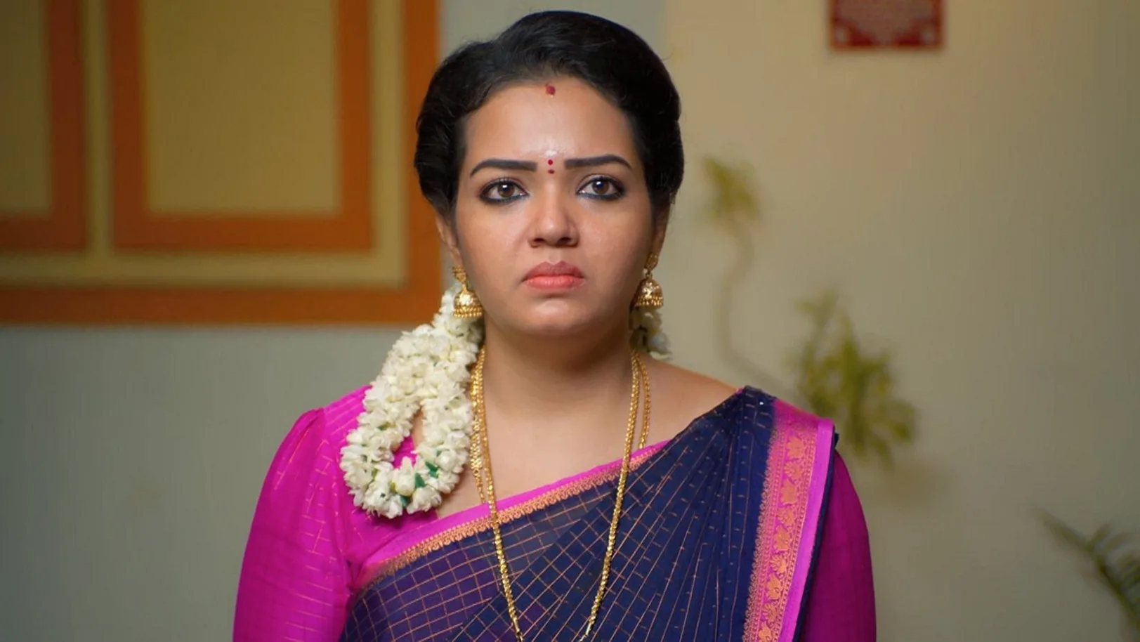 Sandhya Raagam - August 26, 2024 - Episode Spoiler