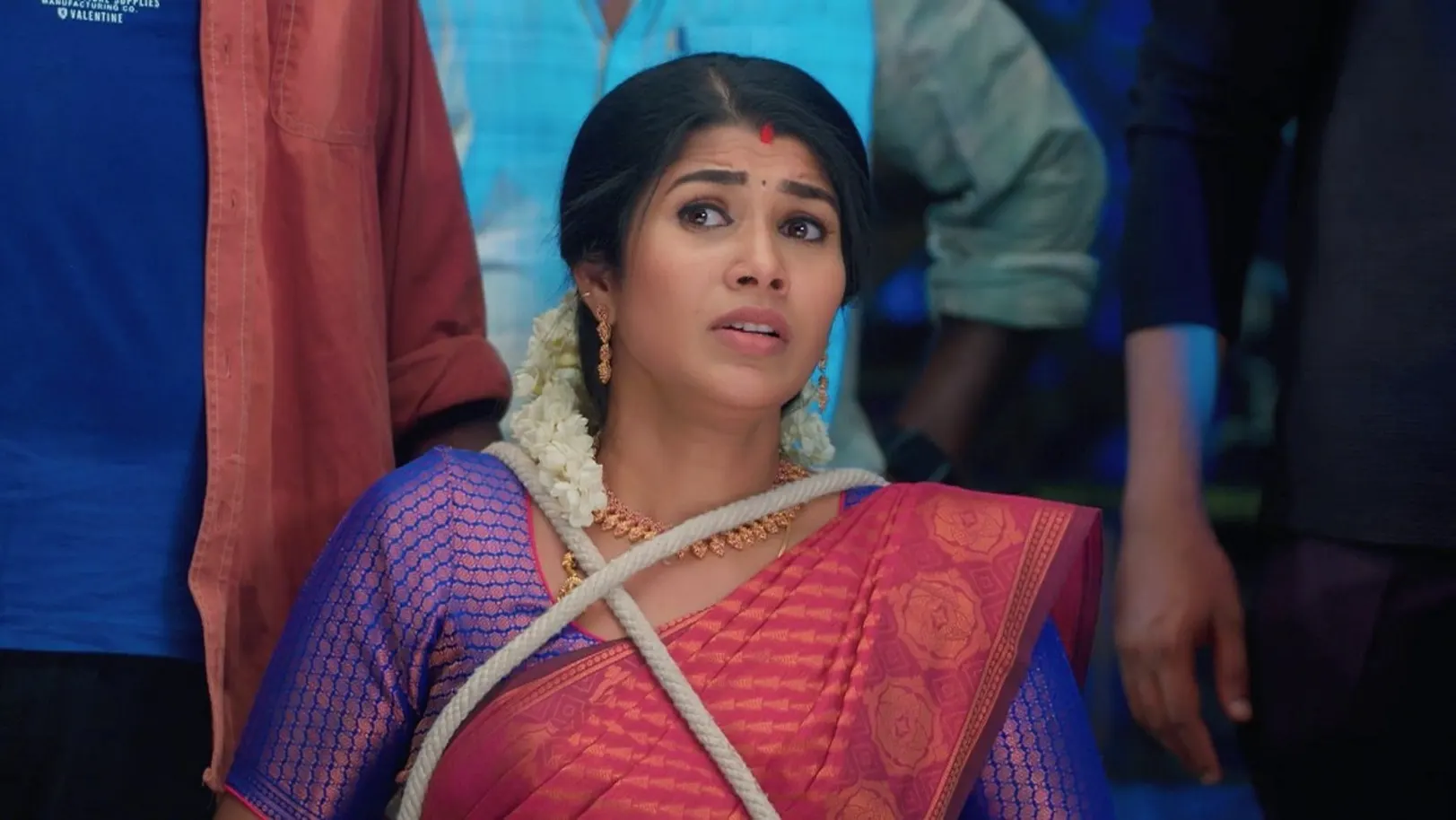 Karthigai Deepam - August 19, 2024 - Episode Spoiler