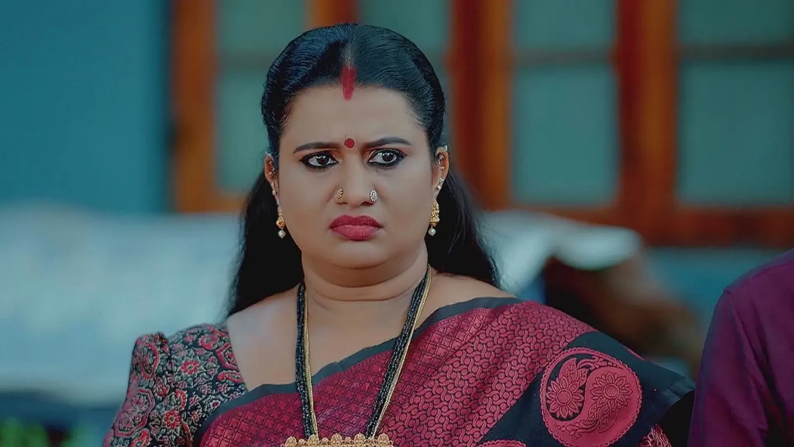 Nandhini Stops Savithri’s Arrest 26th August 2024 Webisode