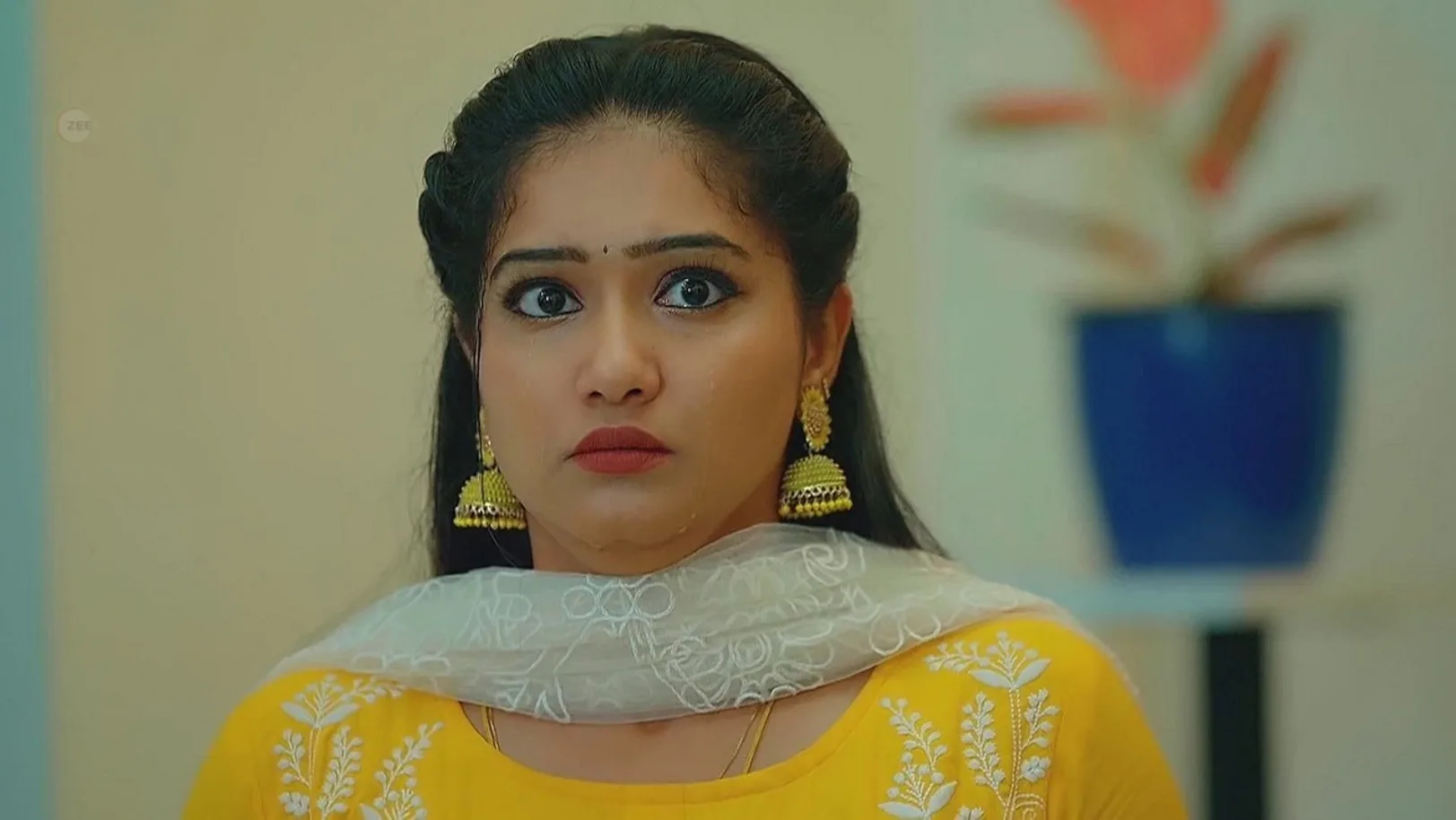 Meenakshi Calls Karthik 3rd September 2024 Webisode