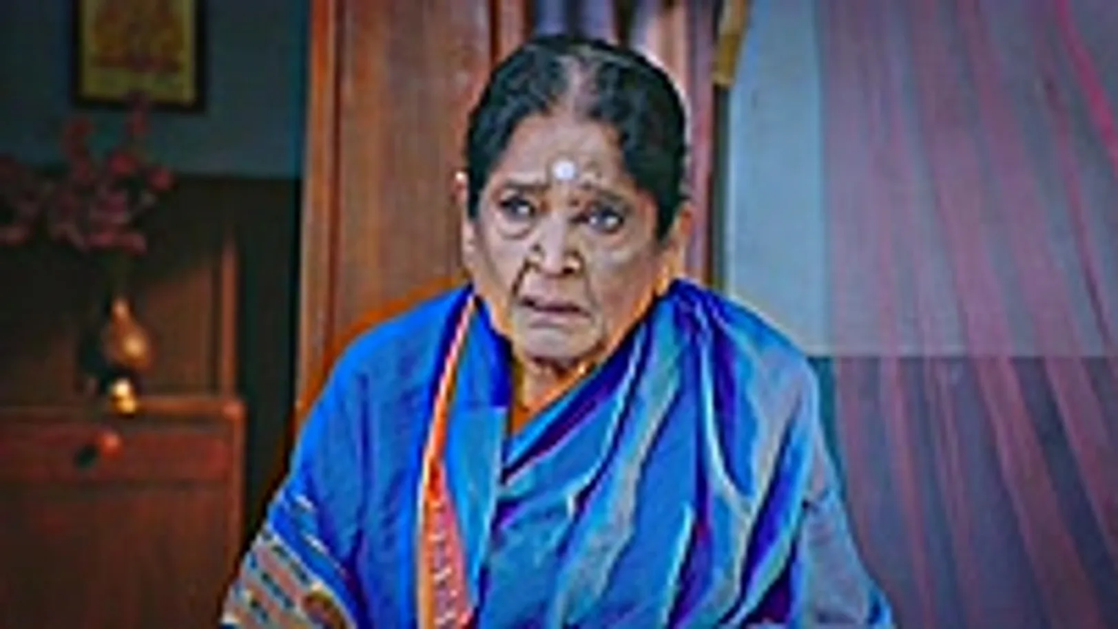 Lakshmi Nivasa - September 16, 2024 - Webisode 16th September 2024 Webisode