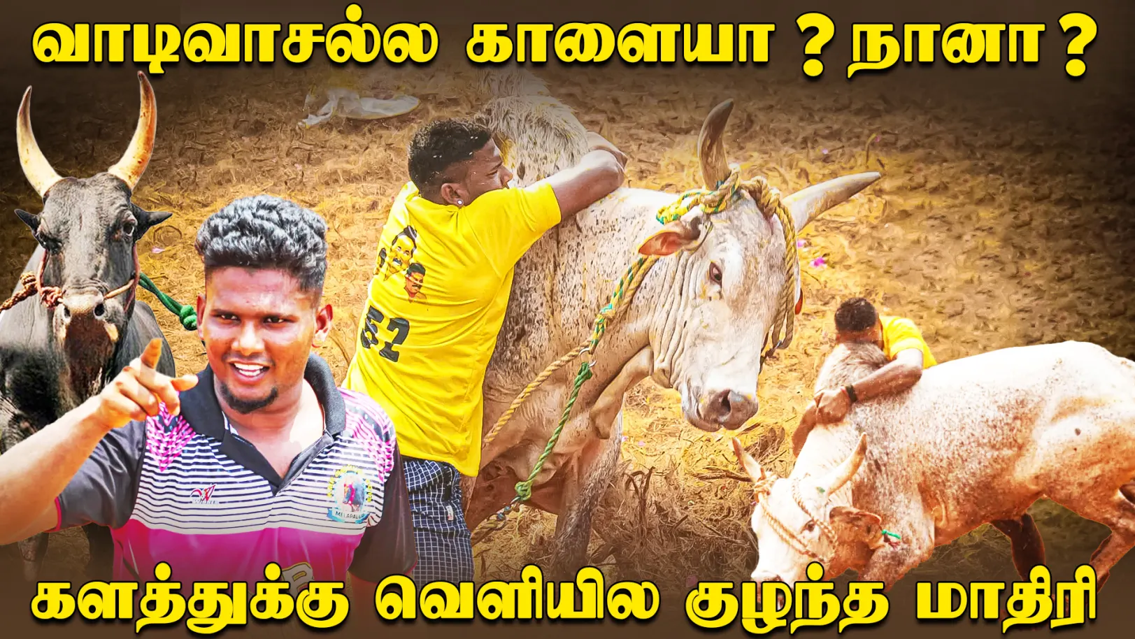 Jallikattu Stories - Episode 6 Episode 6