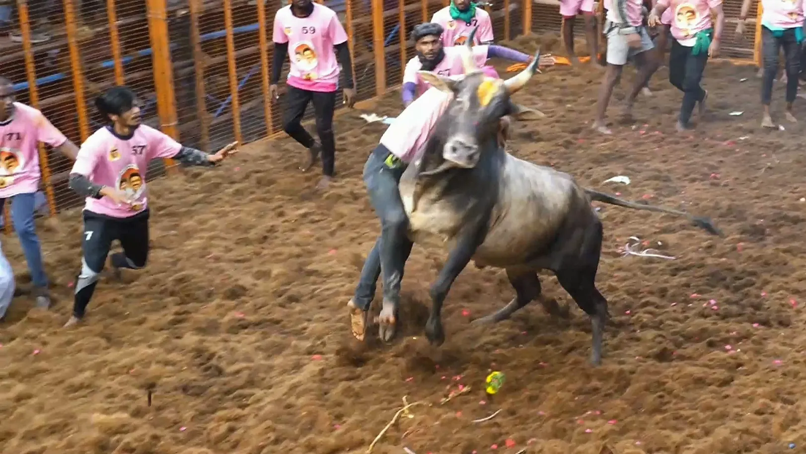 Highlights from Avaniyapuram- Day 1- Clip 2 
