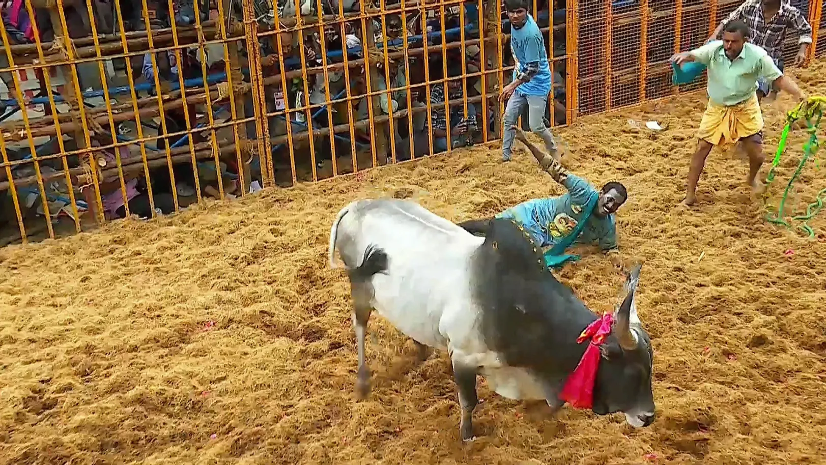 Highlights from Avaniyapuram- Day 1- Clip 3 
