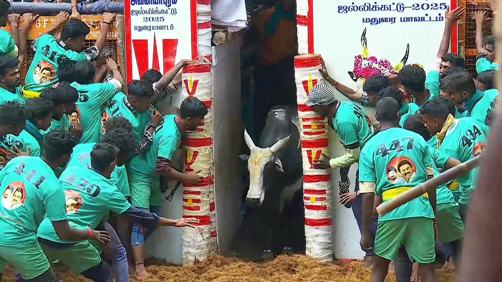 Highlights from Palamedu- Day 2- Clip 3 