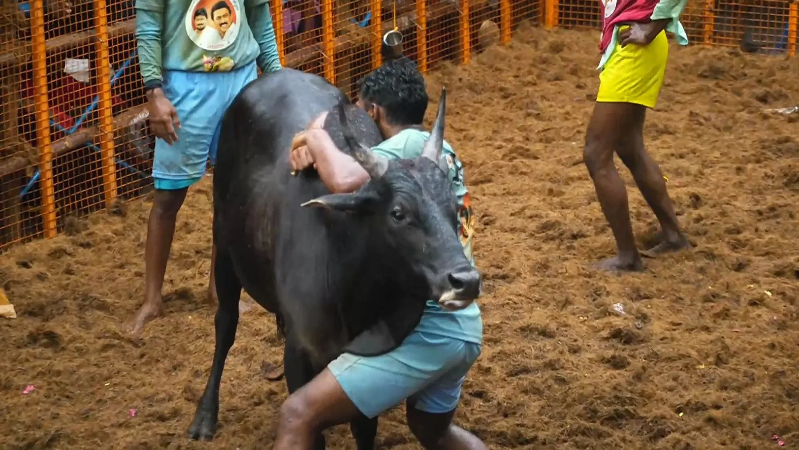 Highlights from Palamedu- Day 2- Clip 4 