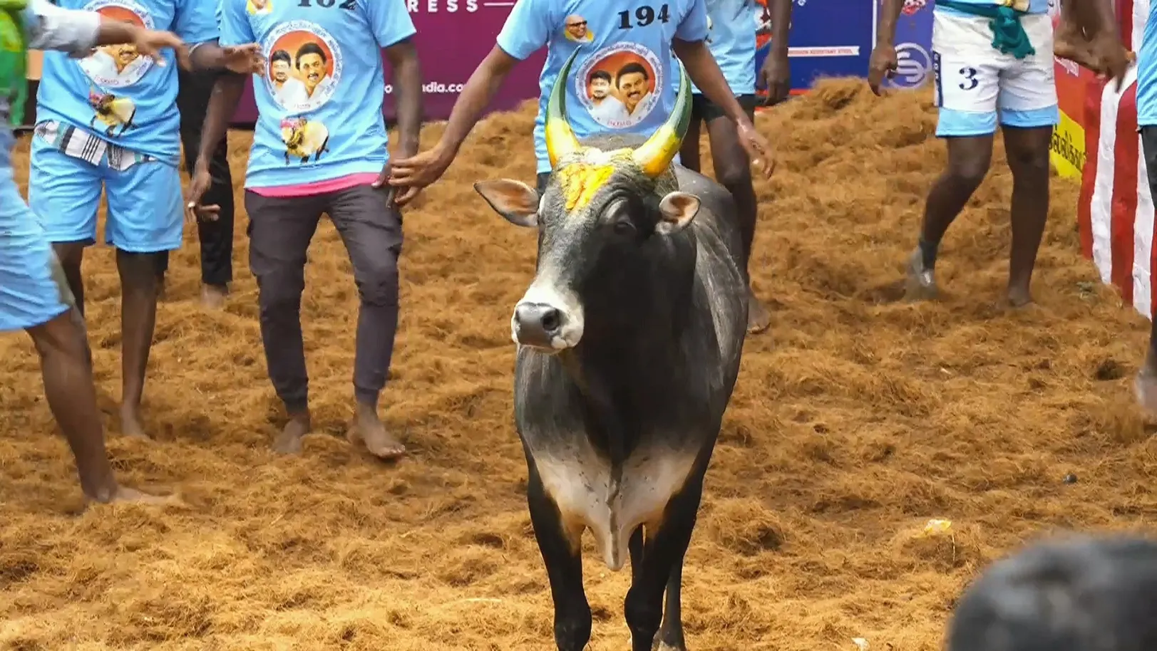 Highlights from Alanganallur- Day 3- Clip 4 