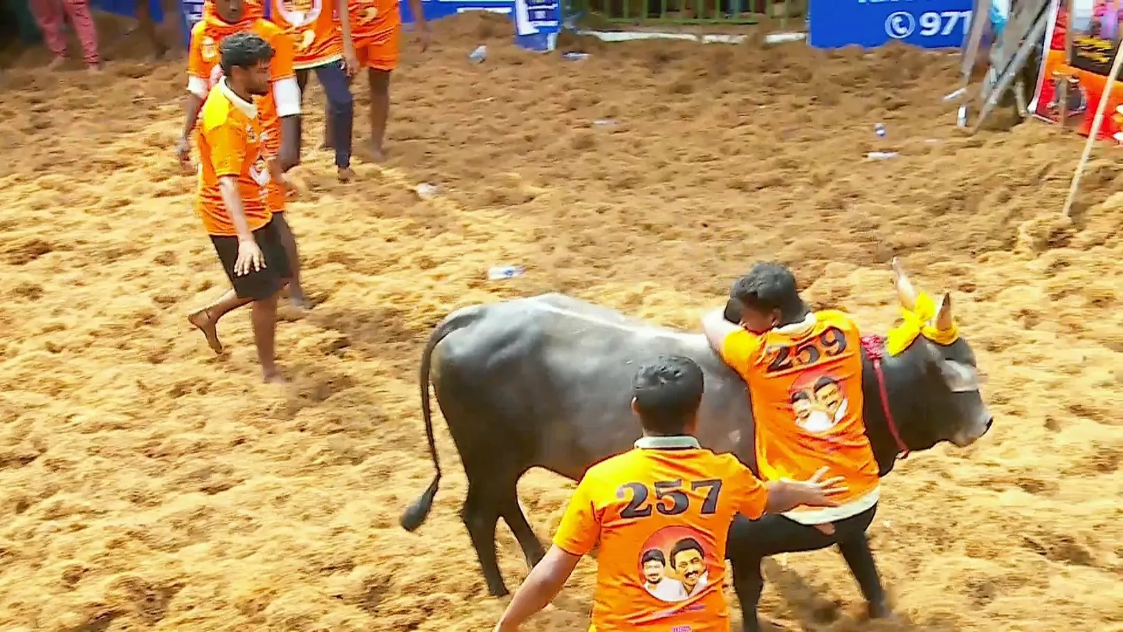 Highlights from Alanganallur- Day 3- Clip 5 