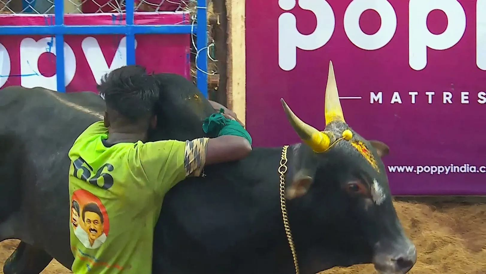 Highlights from Alanganallur- Day 3- Clip 6 