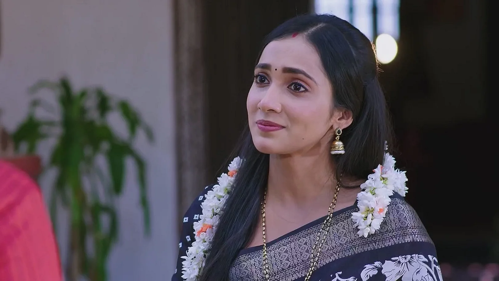 Shravani Is Surprised by Vijaya's Arrival 26th February 2025 Webisode