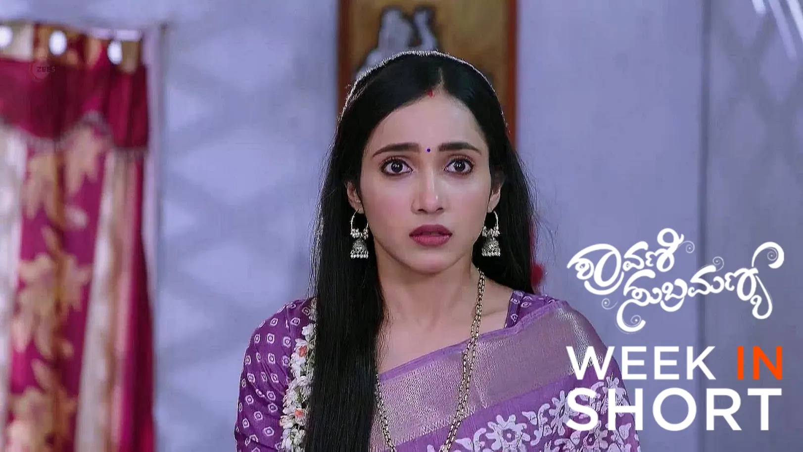 Shravani Subramanya | February 24 to February 28, 2025 1st March 2025 Webisode