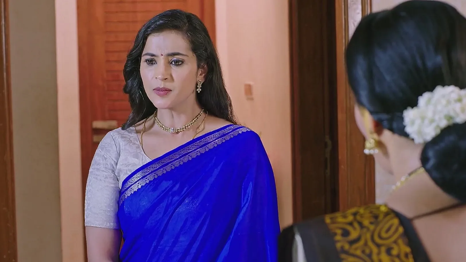 Neelu and Renuka Discuss Their Husbands 17th April 2025 Webisode