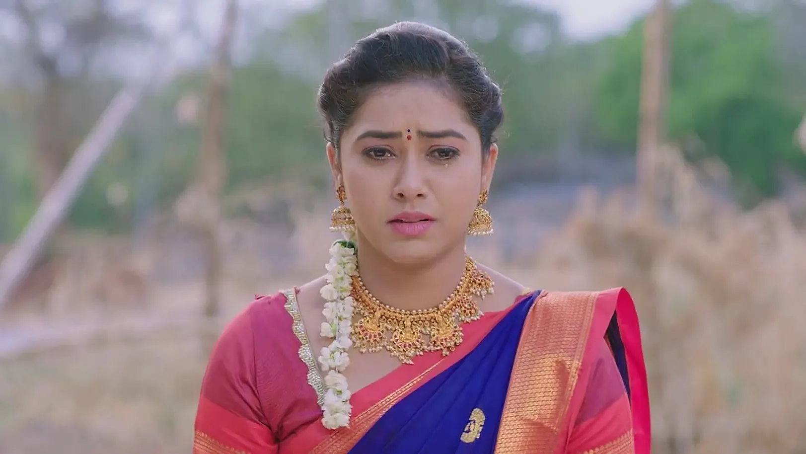 Radha Visits Sneha's Grave 24th April 2025 Webisode