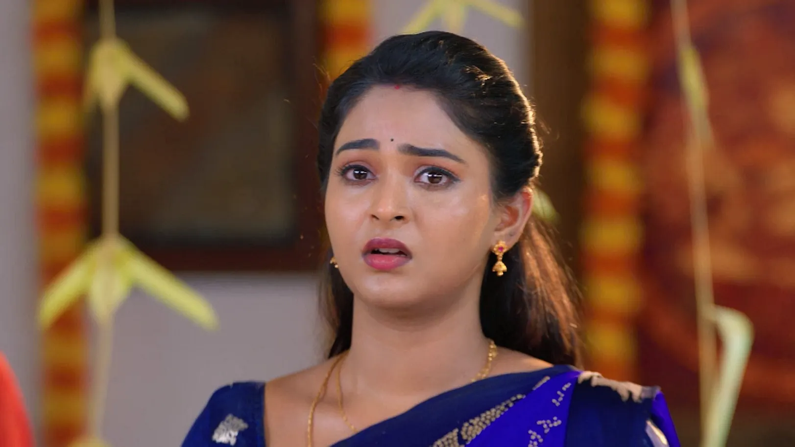 Sandhya Raagam - April 25, 2025 - Episode Spoiler