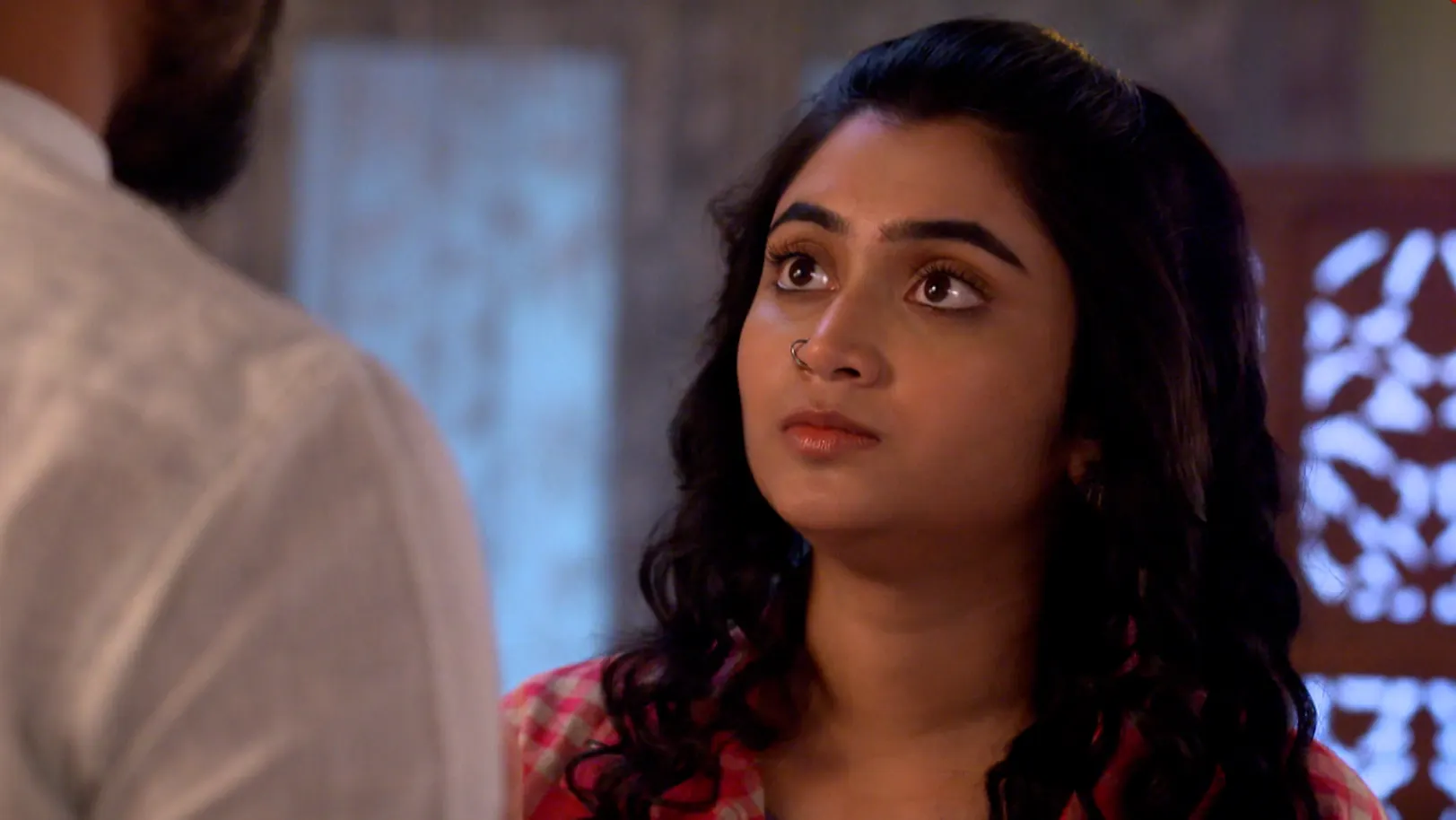 Jagadhatri - 04 May, 2025