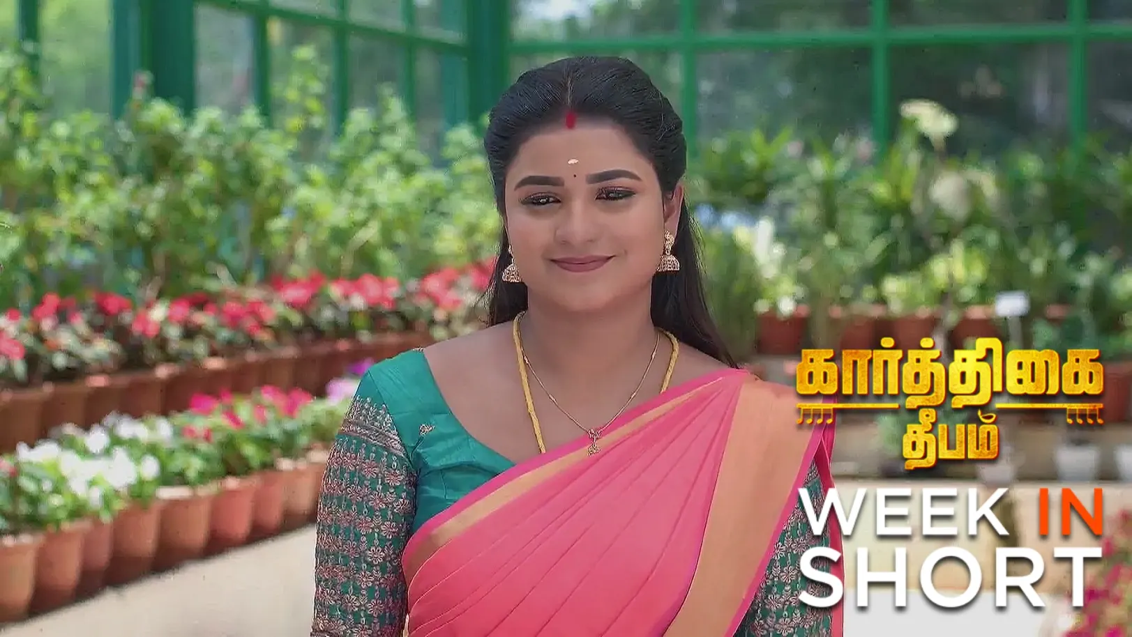 Will Raja Save Revathi? 26th April 2025 Webisode