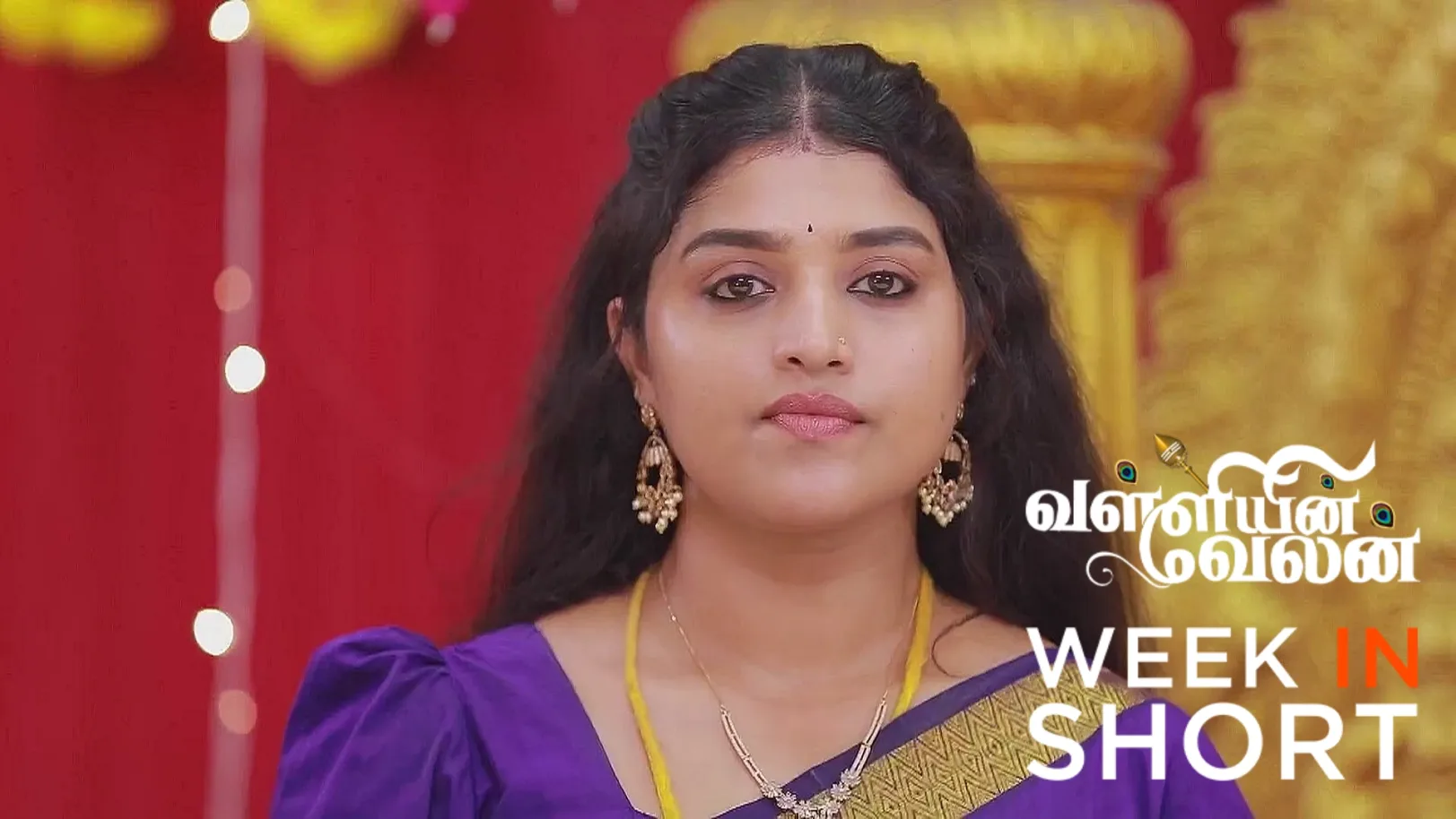 Valli and Velan's Wedding Elates Devaraj 27th April 2025 Webisode
