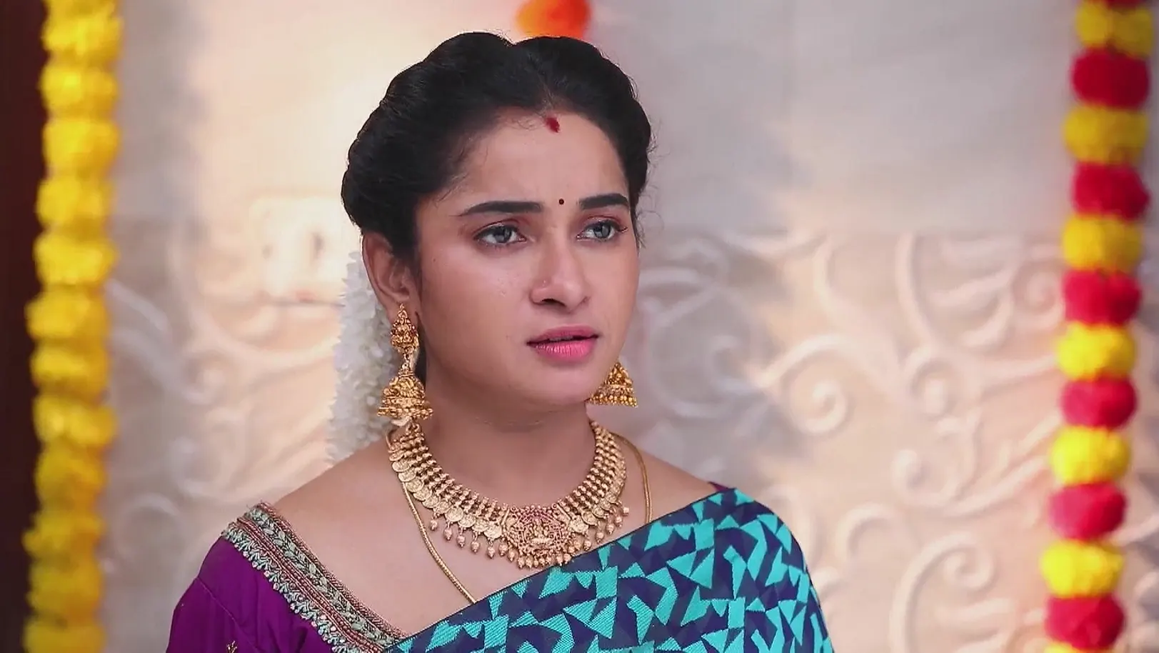 Meghala's Motive 29th April 2025 Webisode