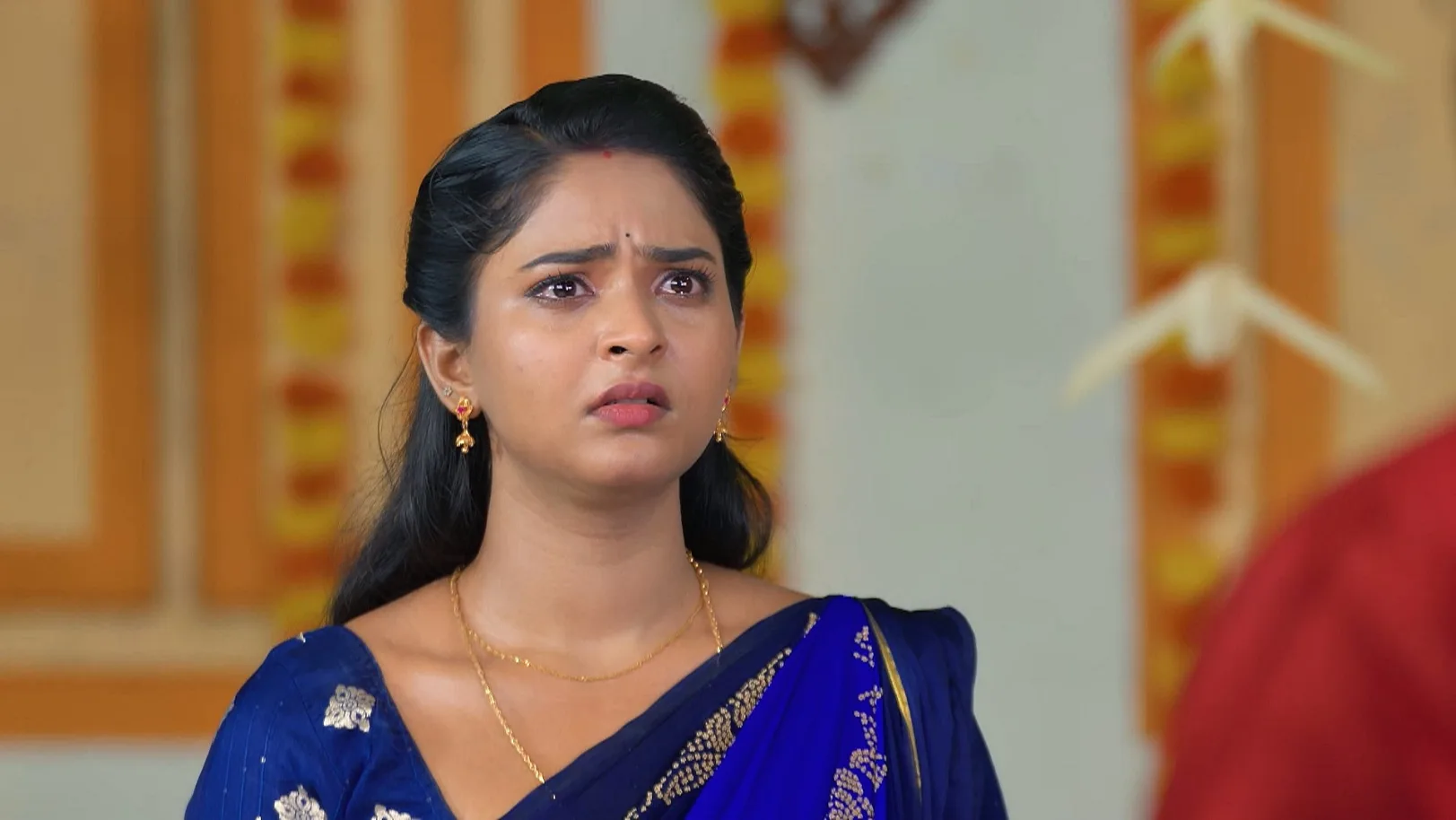 Sandhya Raagam - 30 April, 2025