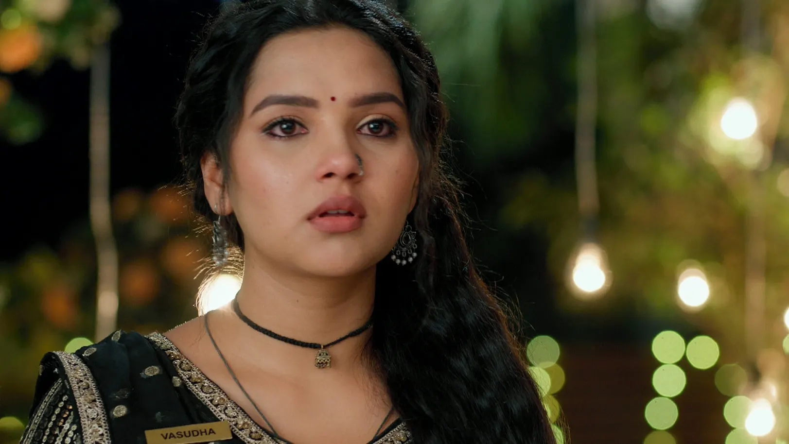 Vasudha - May 11, 2025 - Episode Spoiler