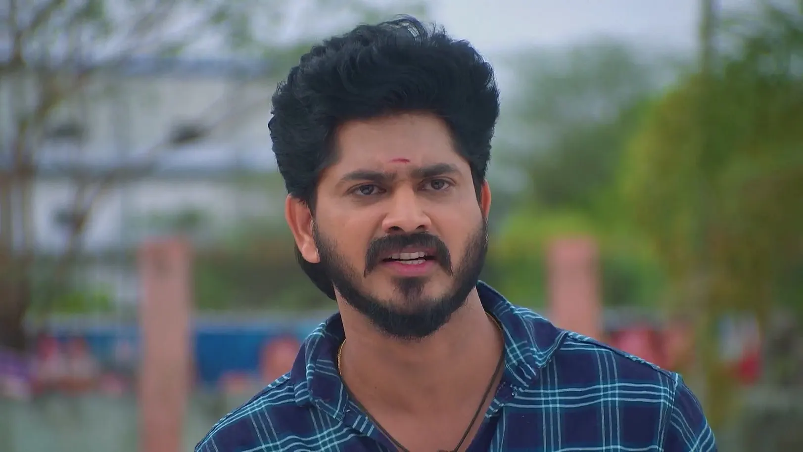 Will Seenu Tie the Nuptial Chain for Charulatha? - Sandhya Raagam 