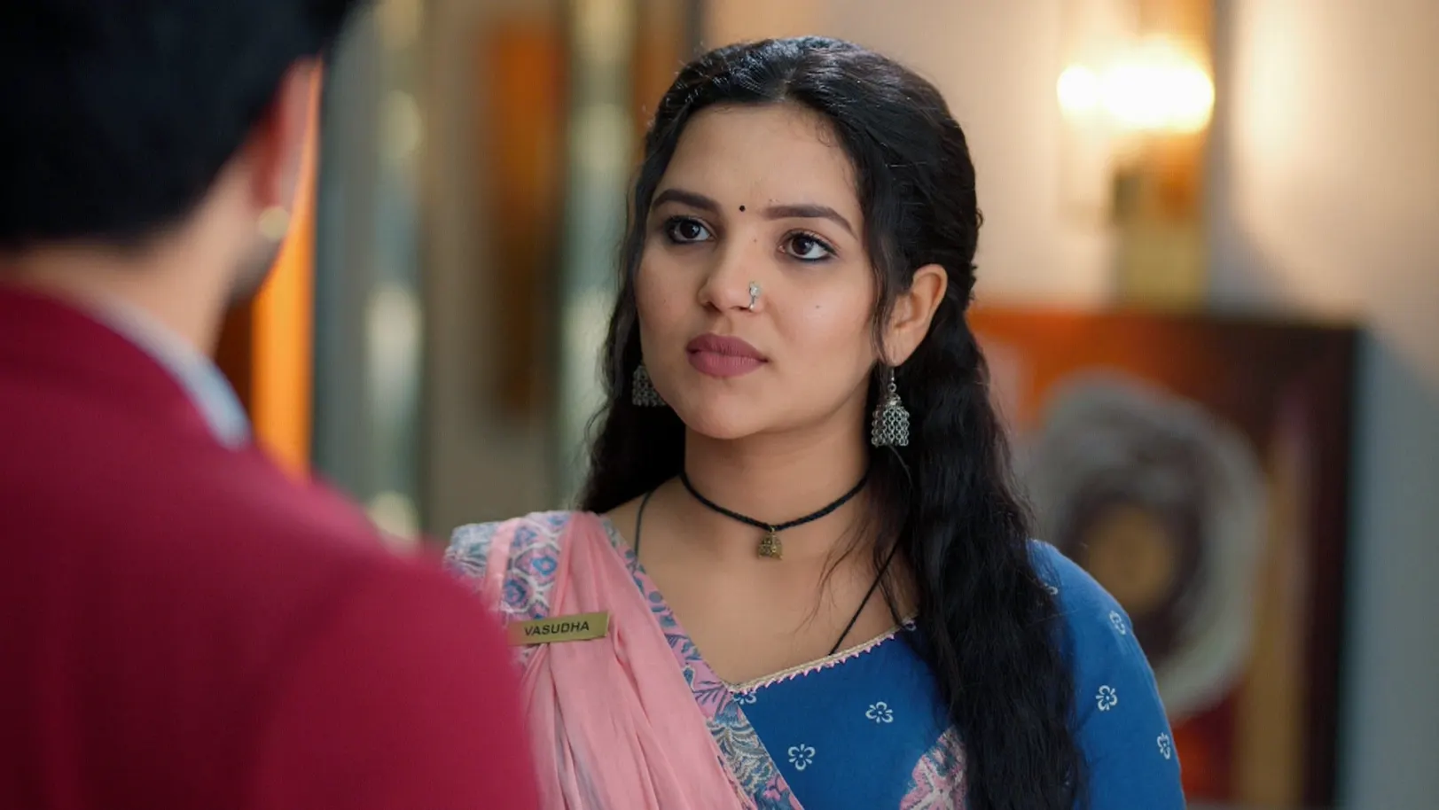 Vasudha - May 15, 2025 - Episode Spoiler