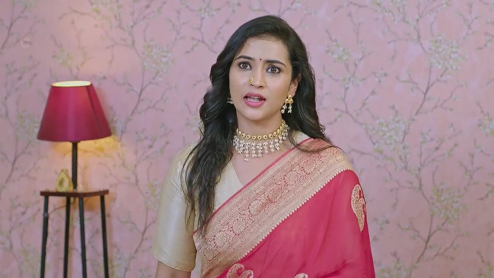 Lakshmi Nivasa - May 14, 2025 - Webisode 14th May 2025 Webisode