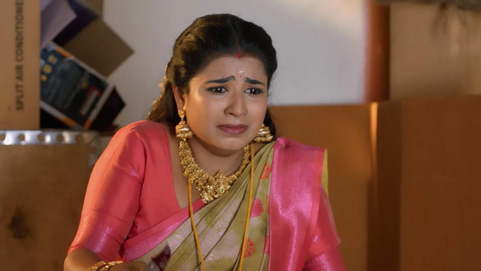 Karthigai Deepam - May 12, 2025 - Episode Spoiler