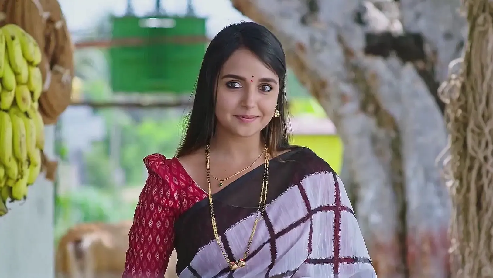 Annayya |  May 12 - May 16, 2025 17th May 2025 Webisode